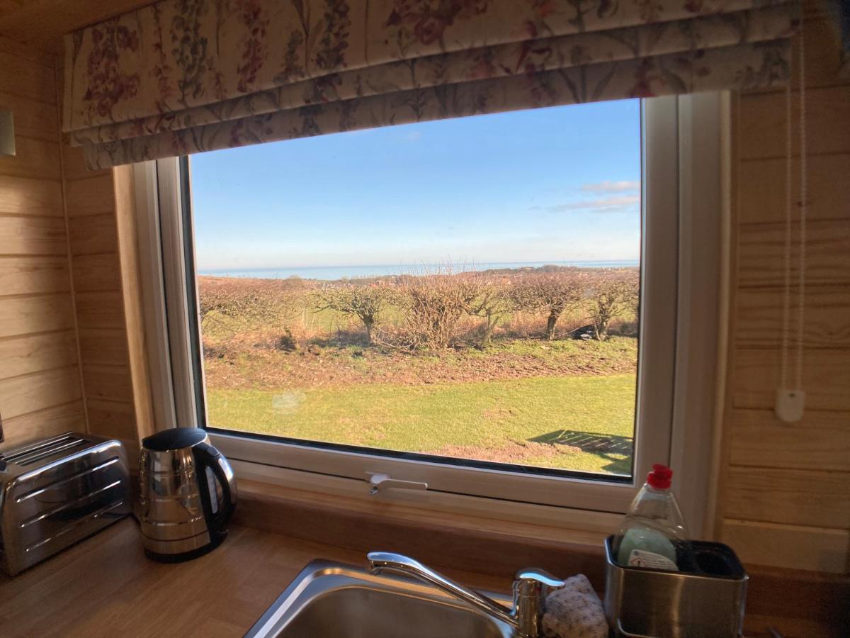 Coldingham The Cedar Tiny Houseヴィラ エクステリア 写真