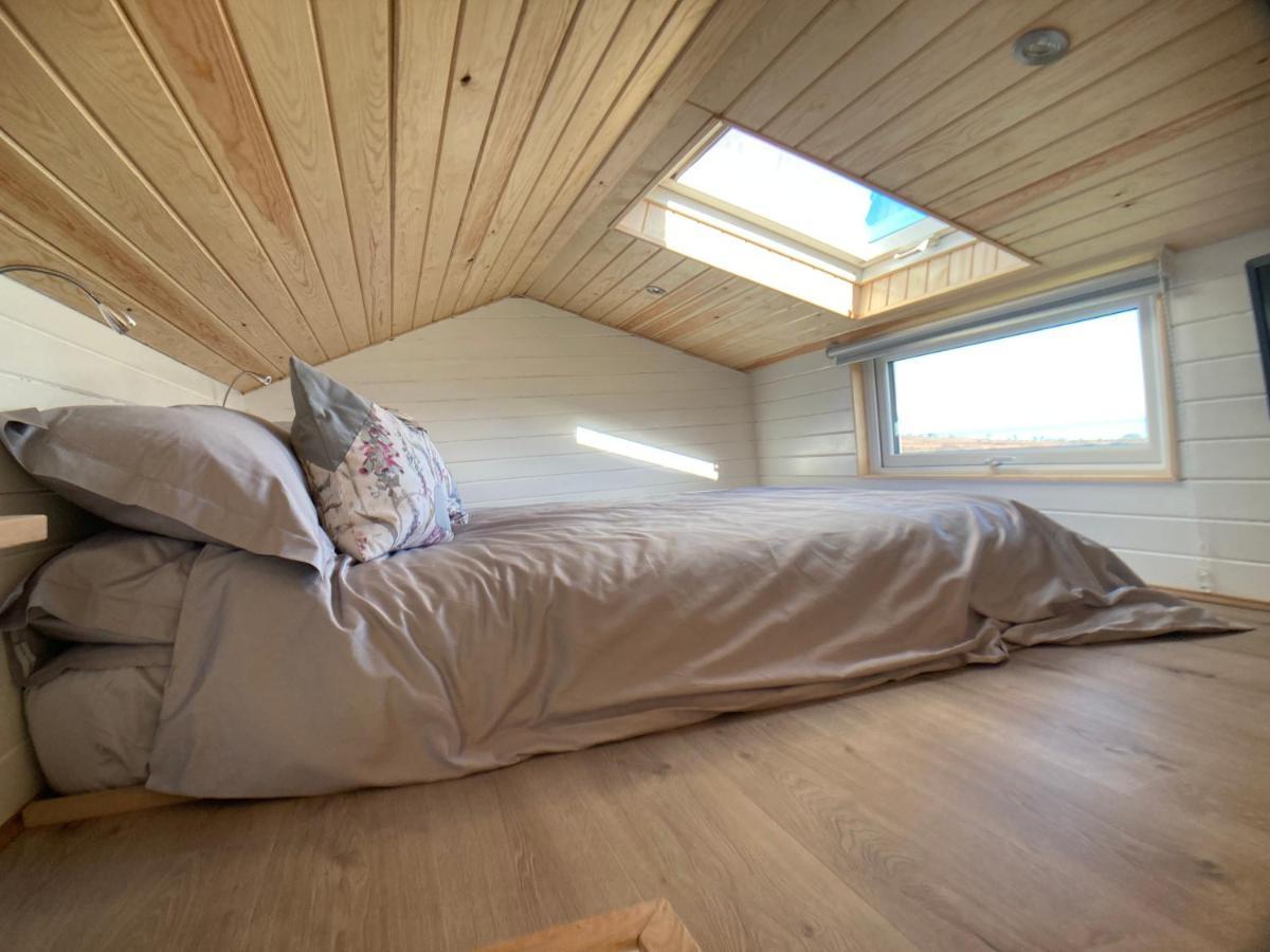 Coldingham The Cedar Tiny Houseヴィラ エクステリア 写真